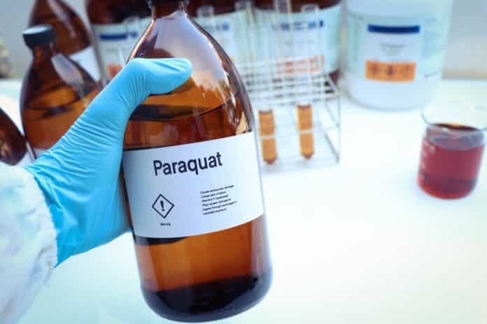 Paraquat in glass, Herbicides are used to manage wasteland or control weeds in agriculture PARAQUAT