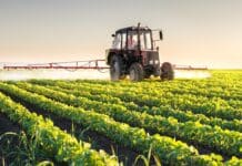 agricoltura