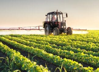 agricoltura
