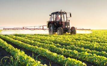 agricoltura