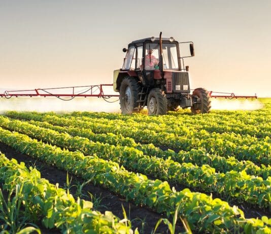 agricoltura