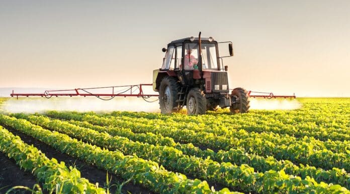 agricoltura