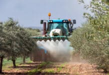 CLORPIRIFOS