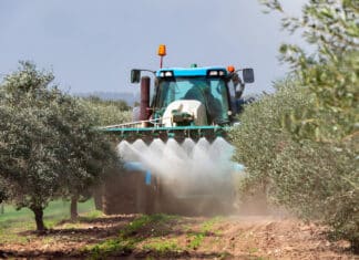 CLORPIRIFOS