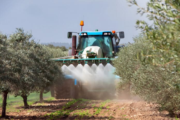 CLORPIRIFOS ULIVO A tractor is spraying a field of olive trees CLORPIRIFOS