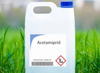 Acetamiprid, dal 2027 sarà vietato in Europa come biocida