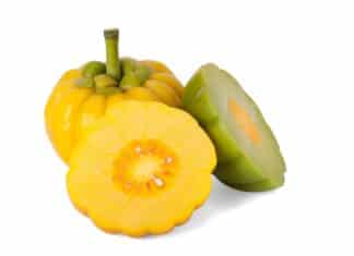 Garcinia cambogia e acido idrossicitrico: anche il Canada allerta sui rischi GARCINIA CAMBOGIA