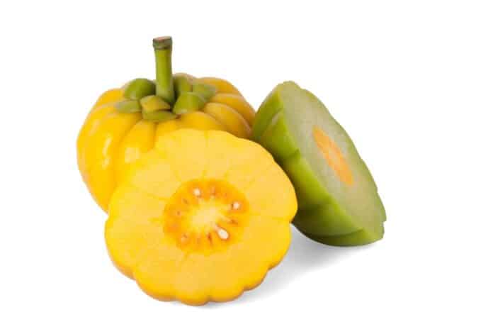 GARCINIA CAMBOGIA