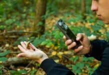 Avvelenamento da funghi, l’Autorità francese invita a non fidarsi delle app per riconoscerli funghi