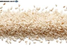 La qualità che fa la differenza: Il Salvagente assegna a Riso Scotti Arborio il suo prestigioso bollino