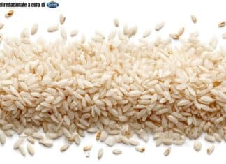 La qualità che fa la differenza: Il Salvagente assegna a Riso Scotti Arborio il suo prestigioso bollino