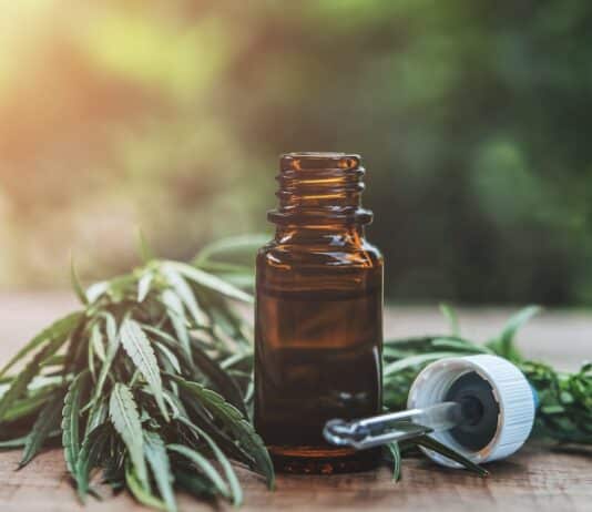 Cannabis light vietata, il Consiglio di Stato rinvia alla Corte Ue la decisione sul ricorso cannabis