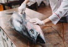 TONNO FRESCO MERCURIO