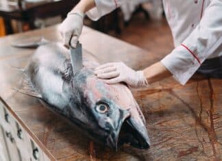 TONNO FRESCO MERCURIO