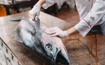 Troppo mercurio nel tonno fresco: metà dei filetti supera i limiti di sicurezza TONNO FRESCO MERCURIO