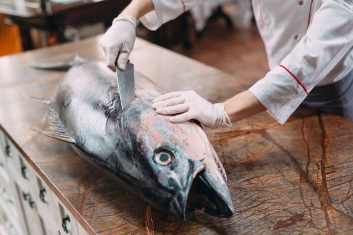 TONNO FRESCO MERCURIO