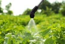 Pesticidi, lettera di 11 associazioni al Governo: no alla deregolamentazione pesticidi