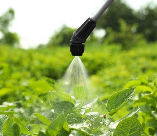 Pesticidi, lettera di 11 associazioni al Governo: no alla deregolamentazione pesticidi