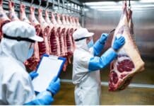 CARNE UOVA CONTROLLIjpg