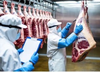 CARNE UOVA CONTROLLIjpg