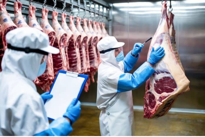 CARNE UOVA CONTROLLIjpg