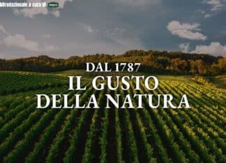 La tecnologia al servizio della trasparenza: il modello Ponti tra blockchain e valore di filiera