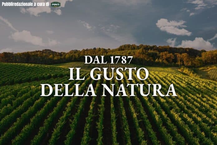 Pubbliredazionale a cura di (63)