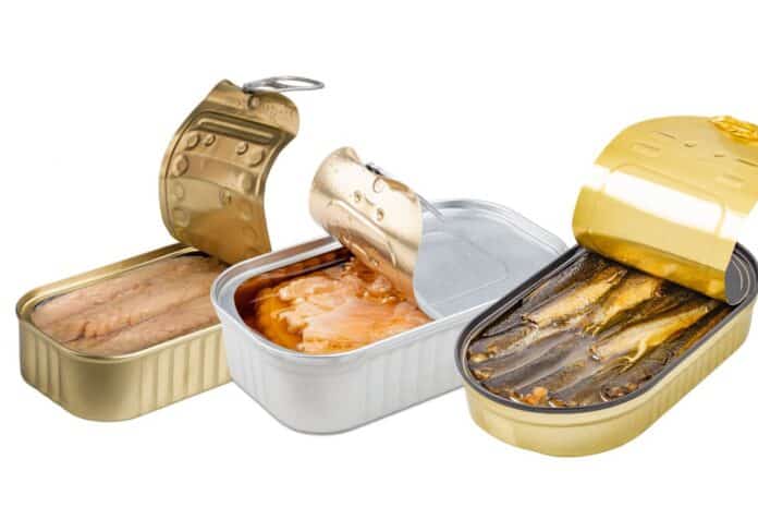 SGOMBRO SARDINE SALMONE IN SCATOLA