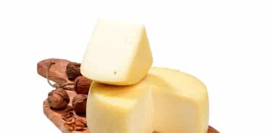 Aflatossina: richiamate due caciotte per rischio chimico AFLATOSSINA CACIOTTA