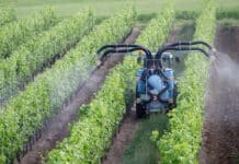 pesticidi prosecco