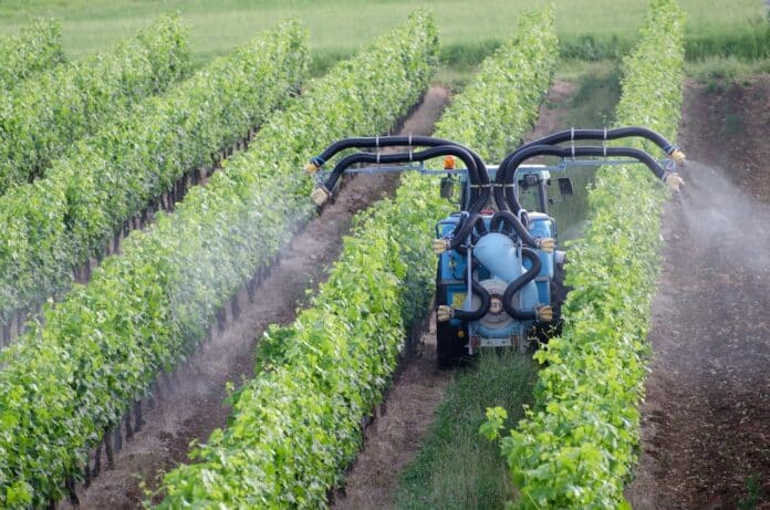Spraying of grapevines in vineyard in france pesticidi prosecco