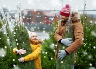 Albero di Natale naturale o artificiale? Ecco quello con l’impronta ecologica migliore Albero di natale