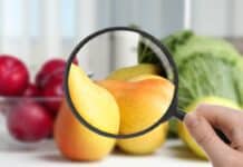 Dossier Stop pesticidi nel piatto: quasi metà dei cibi convenzionali con residui, in aumento il multiresiduo pesticidi