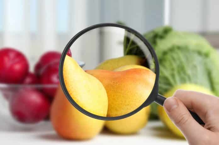 Woman with magnifying glass exploring fruits, closeup. Poison detection pesticidi