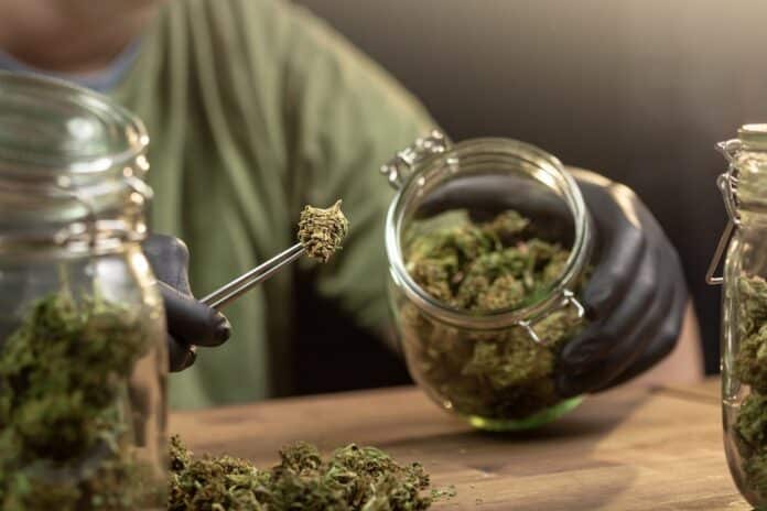 Weed buds in a glass jar cannabis
