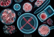 Quanto ci costa mangiare male. Lo studio MANGIARE MALE