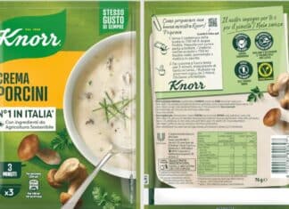 KNORR RISOTTO PORCINI