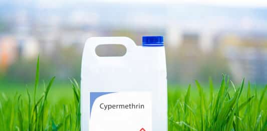 Pesticidi, Corte Ue: “Bruxelles ha riapprovato la Cipermetrina senza prove di sicurezza” PESTICIDI CIPERMETRINA