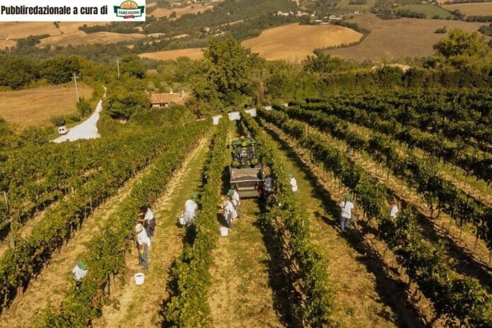 Pubbliredazionale a cura di (67)