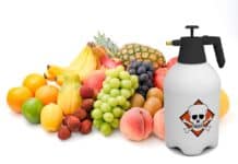 PESTICIDI POMPELIMI UVA