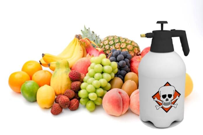 PESTICIDI POMPELIMI UVA