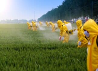 Pesticidi, l’ex responsabile svizzero accusa: il sistema di autorizzazione in Ue è inefficace pesticidi