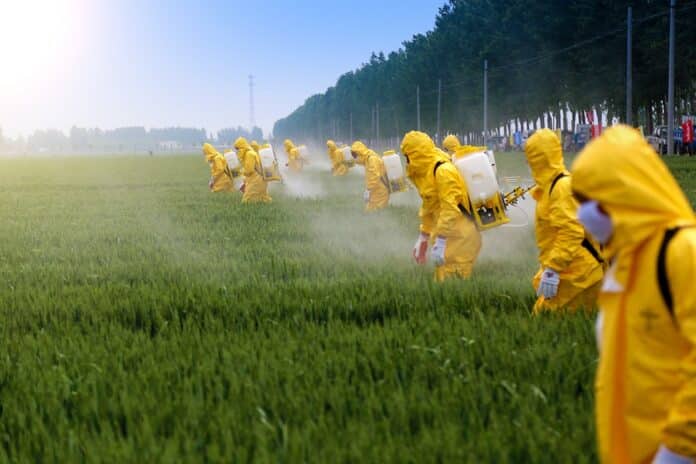 farmers sprying pesticide in wheat field wearing protective clothing pesticidi