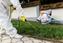 Verona, il monitoraggio: pesticidi tossici dai campi ai giardini privati pesticidi