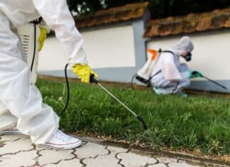 Verona, il monitoraggio: pesticidi tossici dai campi ai giardini privati pesticidi