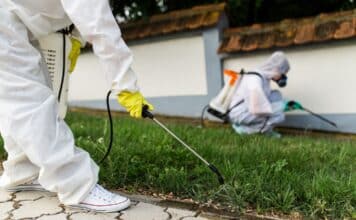 Verona, il monitoraggio: pesticidi tossici dai campi ai giardini privati pesticidi