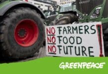 Greenpeace: “Chi si intasca i soldi della Pac? Bonifiche ferraresi fa il pieno” GREENPEACE PAC BONIFICHE FERRARESI