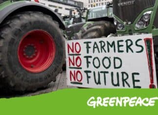 Greenpeace: “Chi si intasca i soldi della Pac? Bonifiche ferraresi fa il pieno” GREENPEACE PAC BONIFICHE FERRARESI