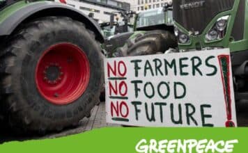 Greenpeace: “Chi si intasca i soldi della Pac? Bonifiche ferraresi fa il pieno” GREENPEACE PAC BONIFICHE FERRARESI