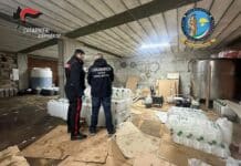 Olio “colorato” venduto come extravergine: le aziende coinvolte OLIO EXTRVERGINE CARABINIERI